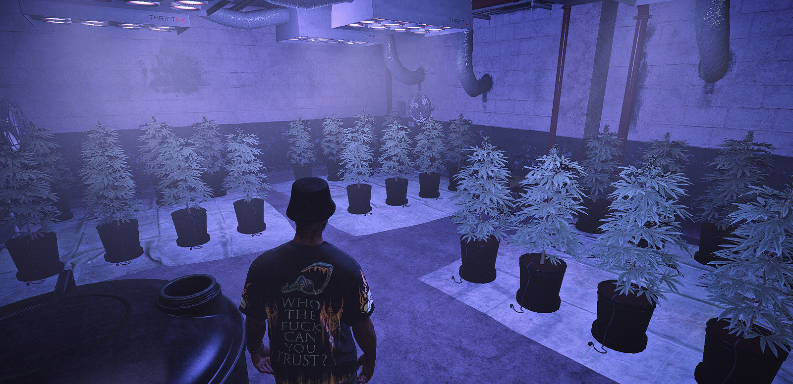 Plants