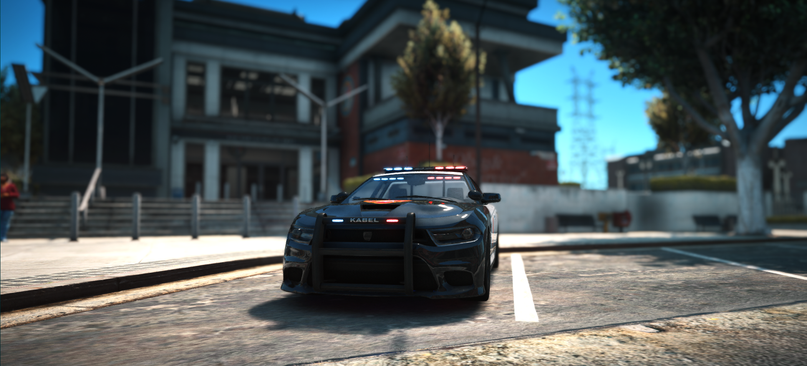 POLICIJA